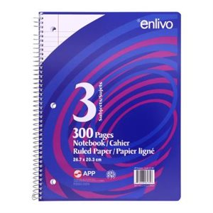 CAHIER LIGNÉ SPIRALE 300P.